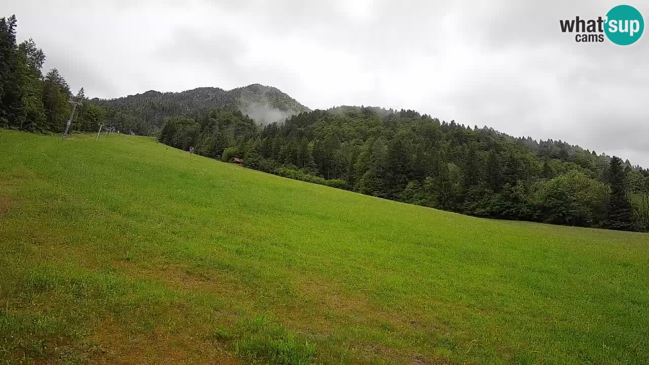 RTC Skigebiet Kranjska Gora | Brsnina