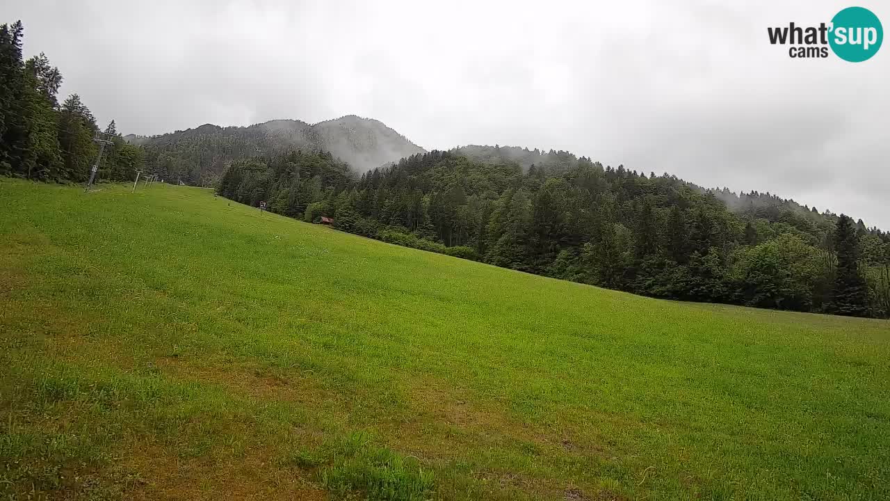 Esquí Kranjska Gora | Brsnina