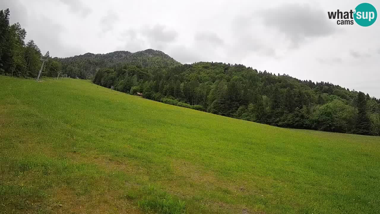 Esquí Kranjska Gora | Brsnina