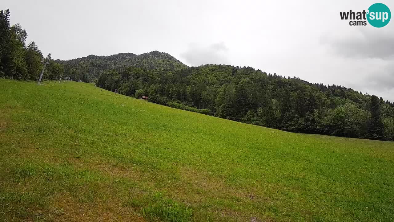 Kranjska Gora Station de ski | Brsnina
