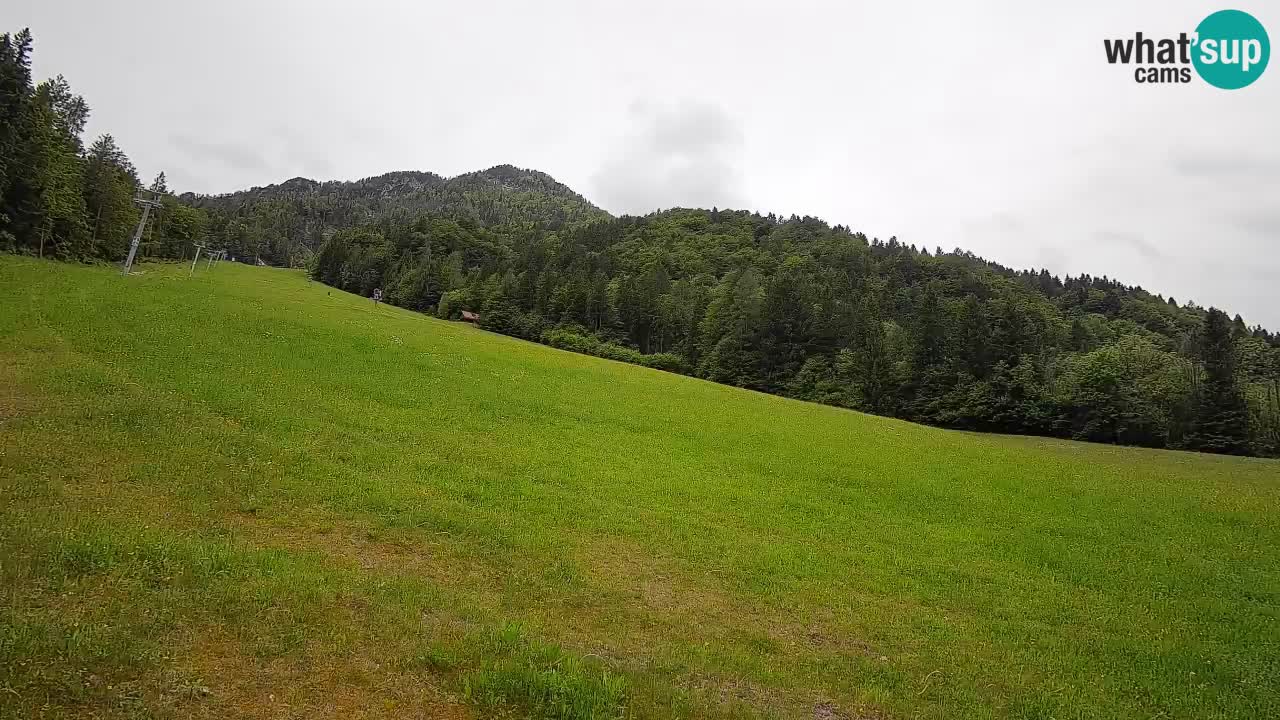 Comprensorio sciistico Kranjska Gora | Brsnina