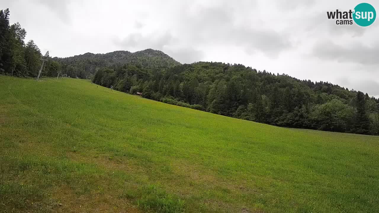 RTC Kranjska Gora | Brsnina