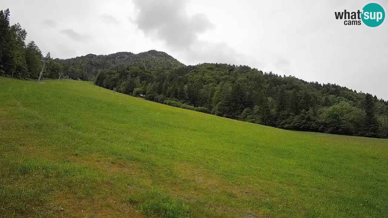 Kranjska Gora Station de ski | Brsnina