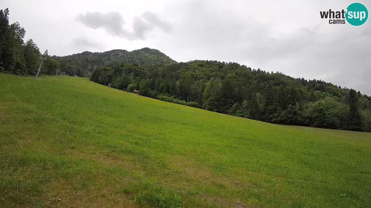 Esquí Kranjska Gora | Brsnina
