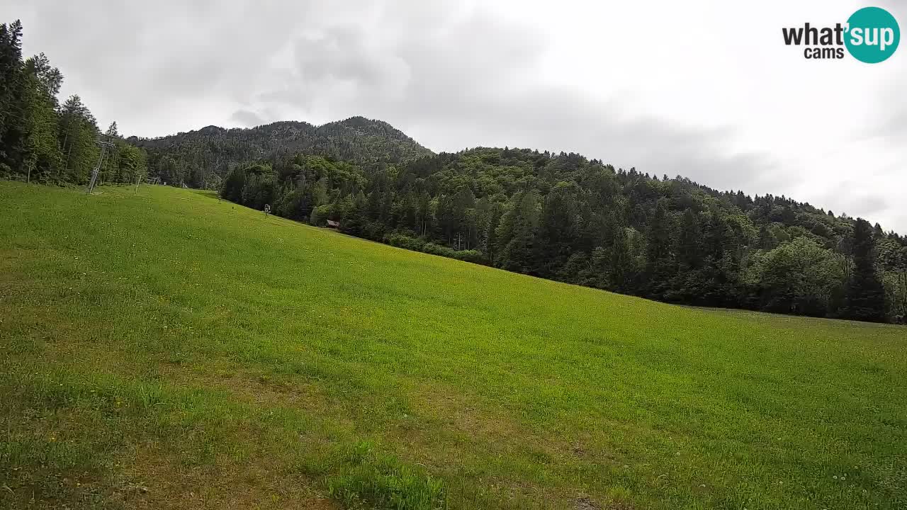 Esquí Kranjska Gora | Brsnina