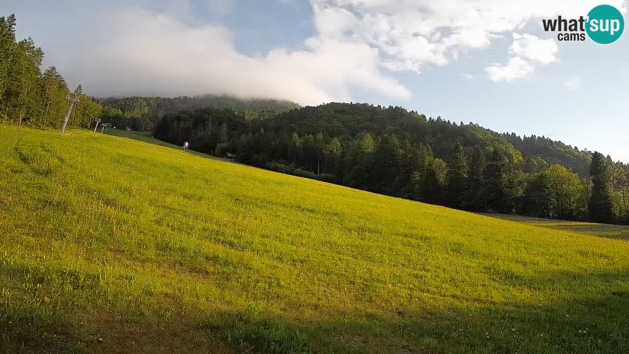 Ski Kranjska Gora | Brsnina