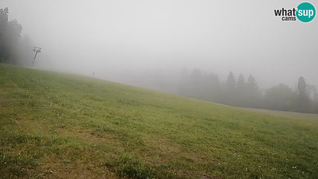 Ski Kranjska Gora | Brsnina