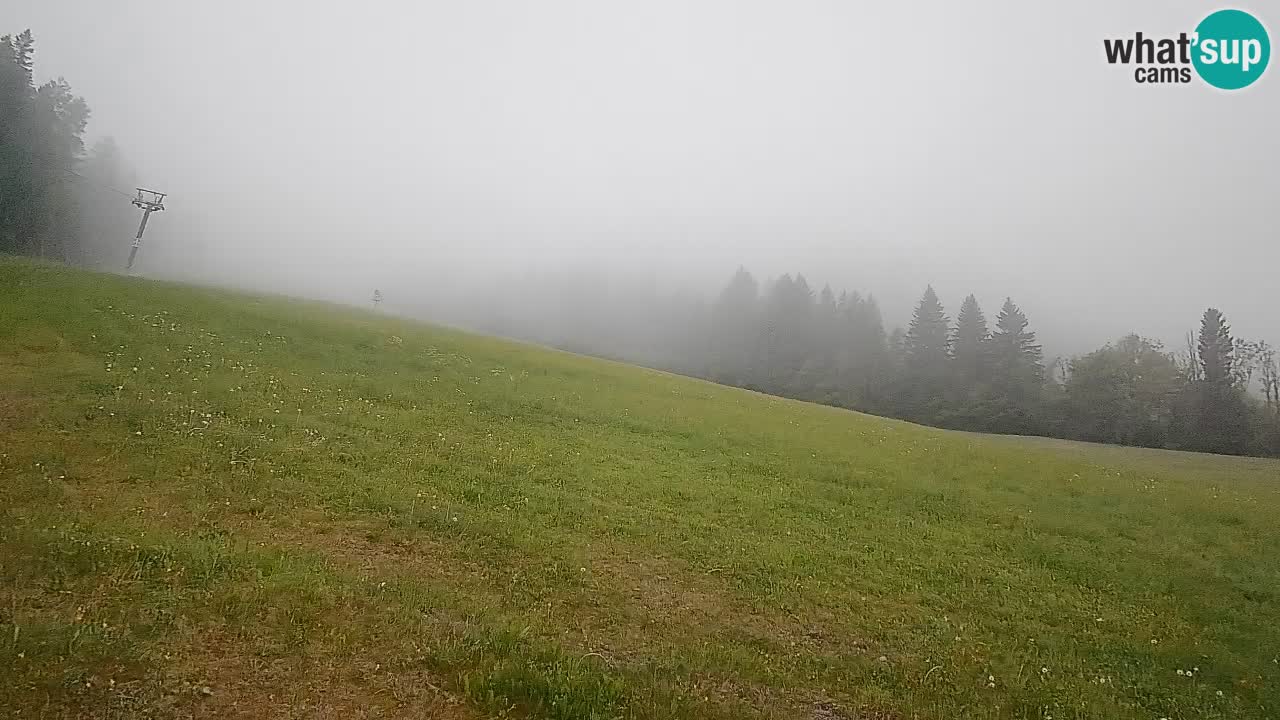 Kranjska Gora Station de ski | Brsnina