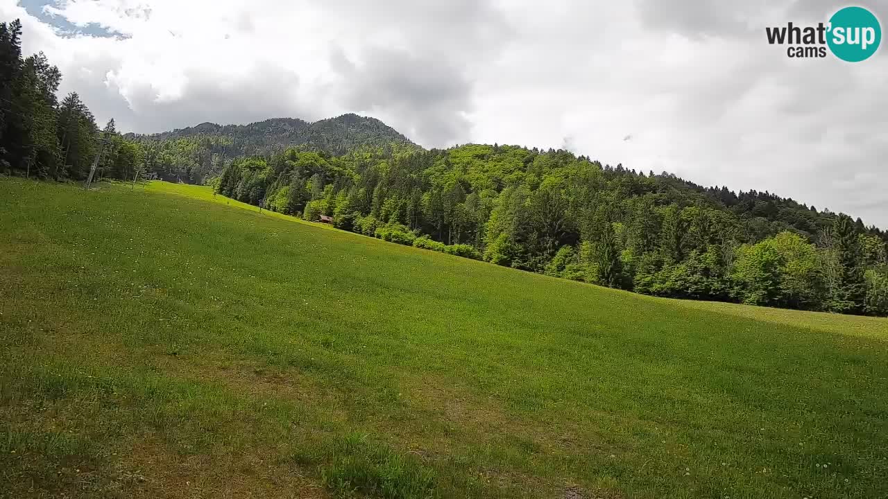 RTC Kranjska Gora | Brsnina