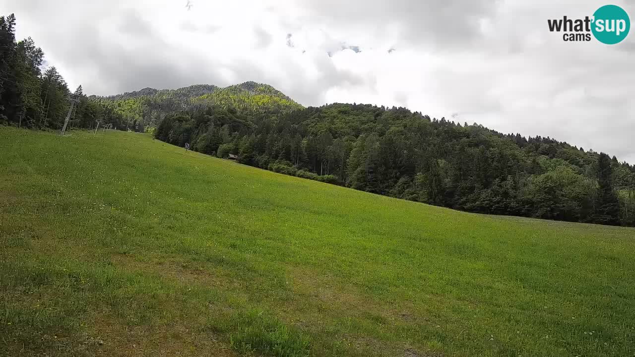 Kranjska Gora Station de ski | Brsnina