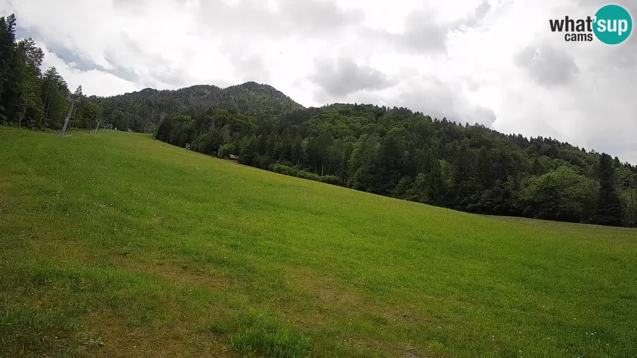 Comprensorio sciistico Kranjska Gora | Brsnina
