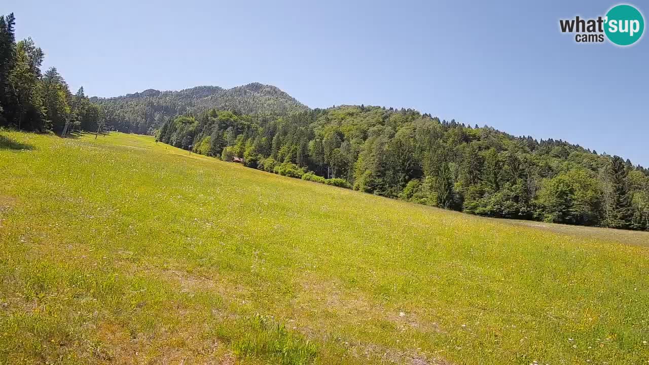 Ski Kranjska Gora | Brsnina