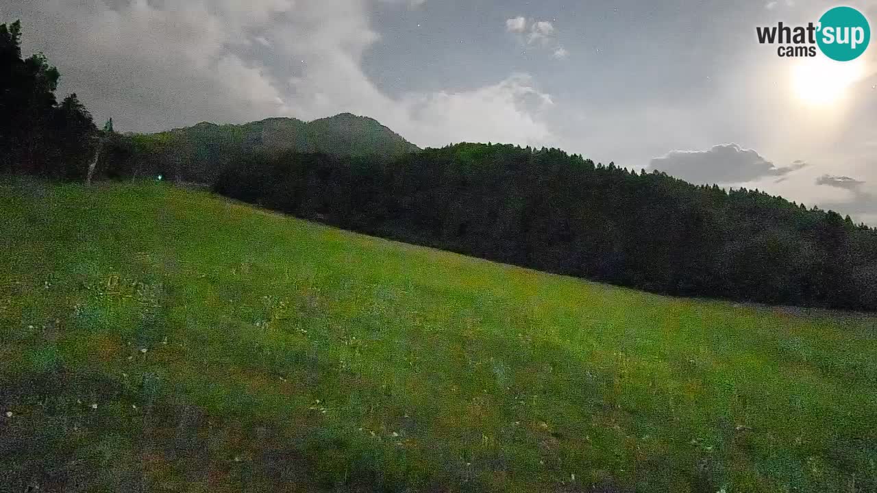 RTC Skigebiet Kranjska Gora | Brsnina