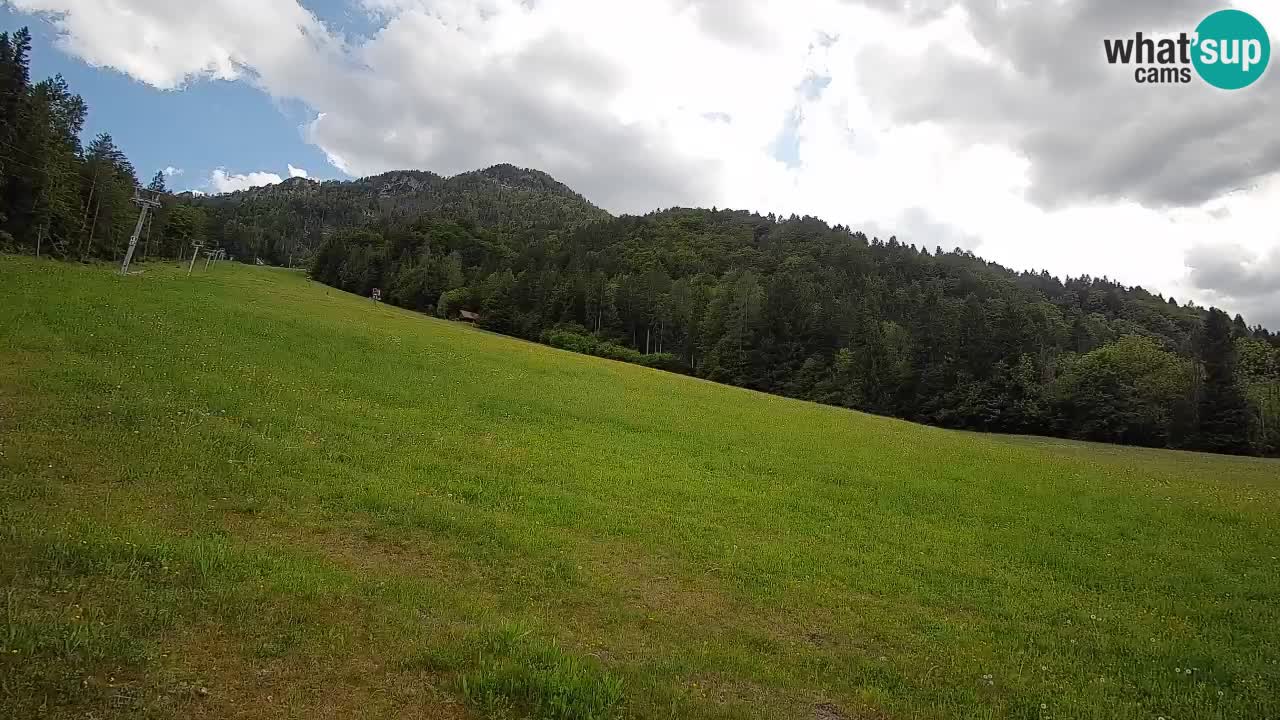RTC Kranjska Gora | Brsnina