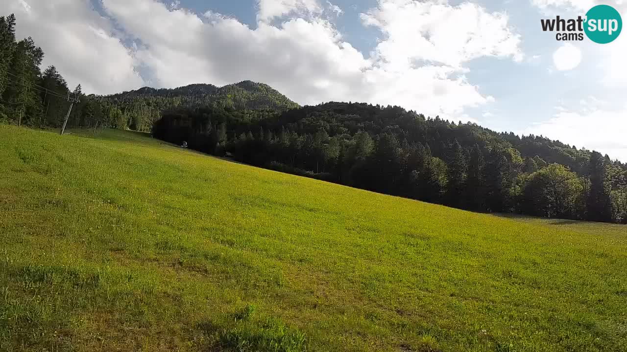 Kranjska Gora Station de ski | Brsnina