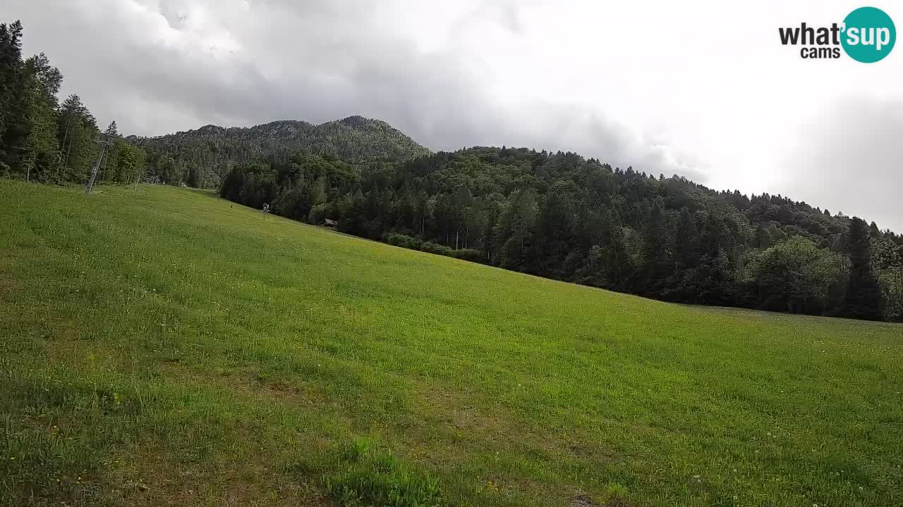 RTC Skigebiet Kranjska Gora | Brsnina