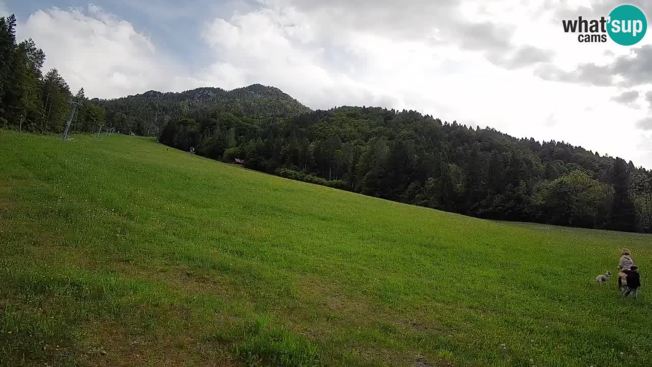 Esquí Kranjska Gora | Brsnina