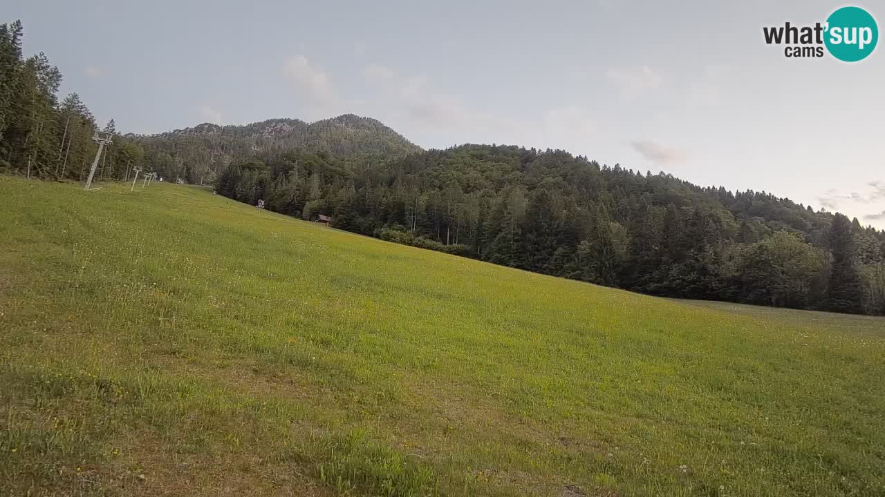 Comprensorio sciistico Kranjska Gora | Brsnina