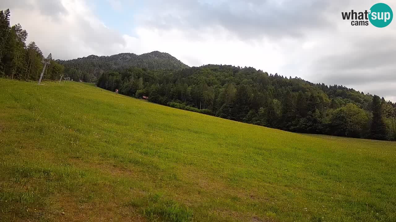 Esquí Kranjska Gora | Brsnina