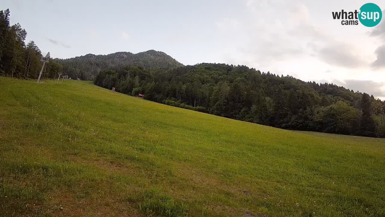 Comprensorio sciistico Kranjska Gora | Brsnina