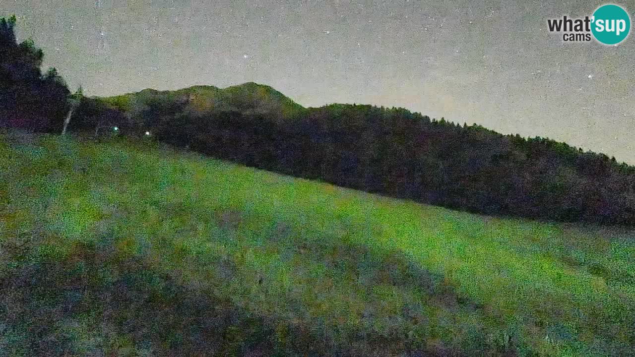 RTC Kranjska Gora | Brsnina