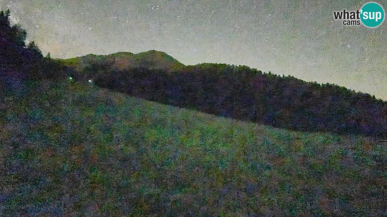 RTC Skigebiet Kranjska Gora | Brsnina