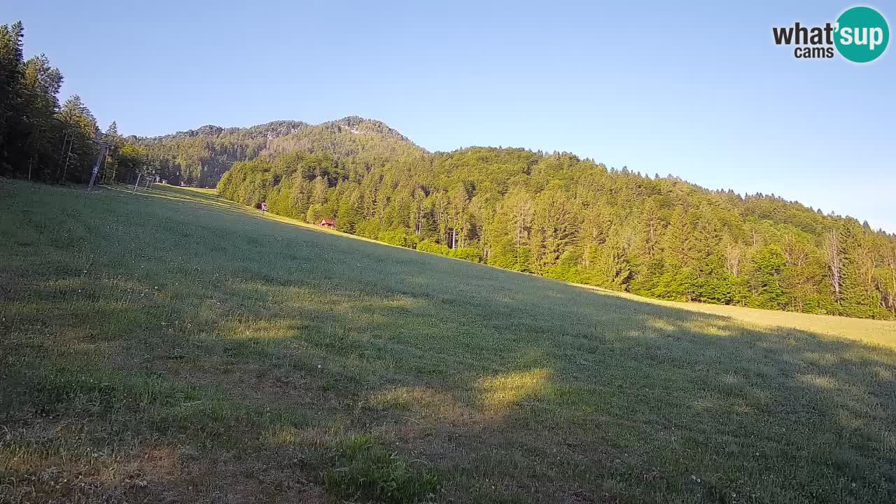 Kranjska Gora Station de ski | Brsnina