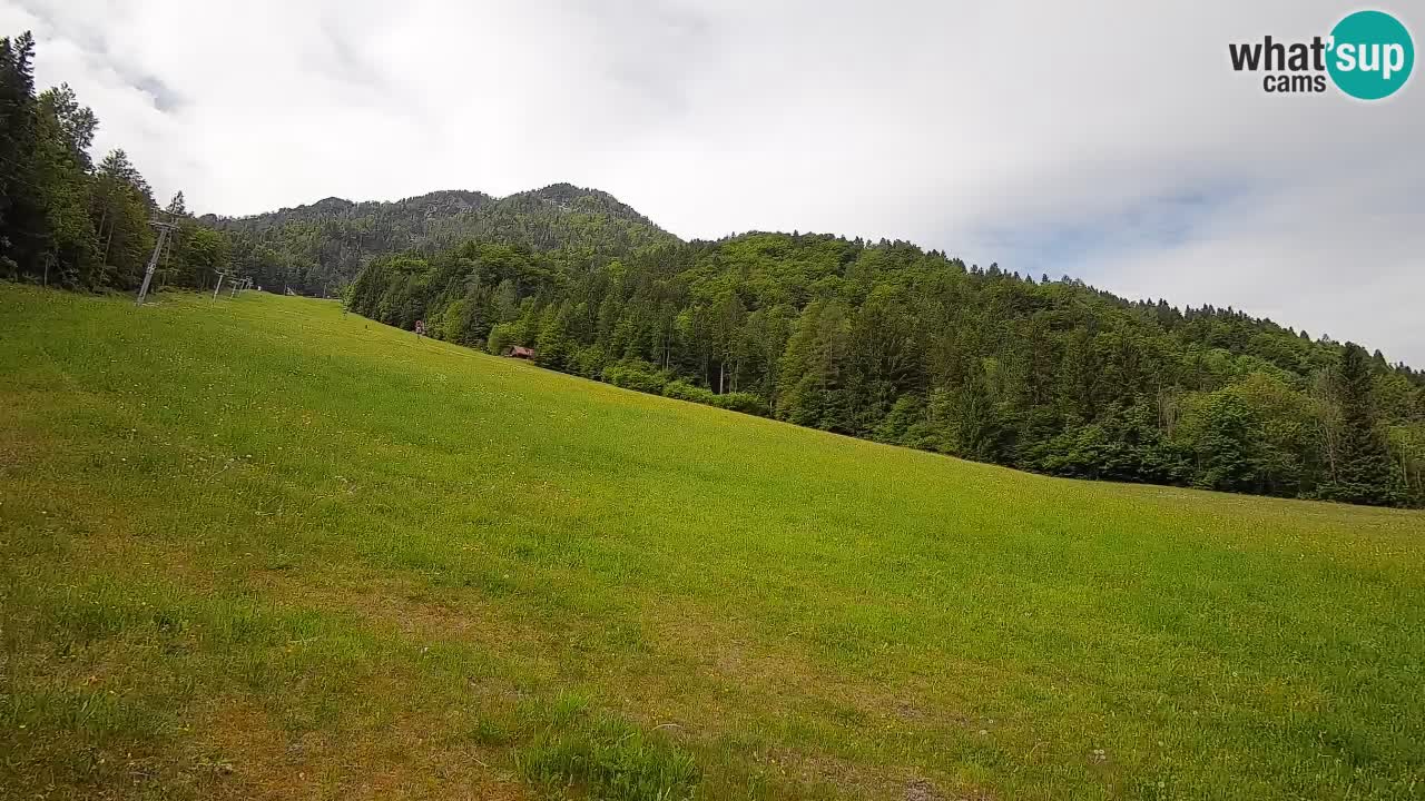 Ski Kranjska Gora | Brsnina