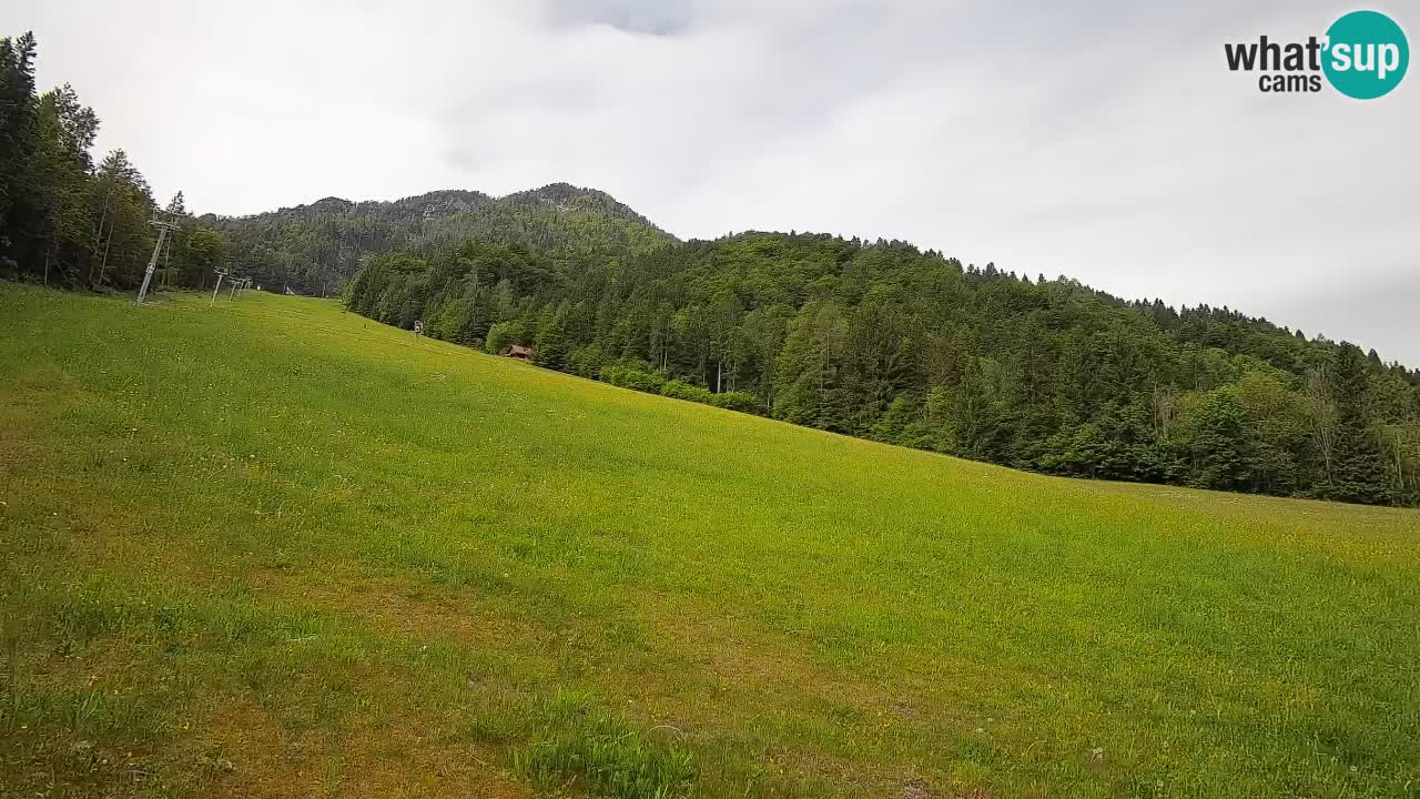 Esquí Kranjska Gora | Brsnina