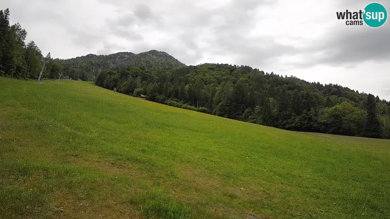 RTC Skigebiet Kranjska Gora | Brsnina