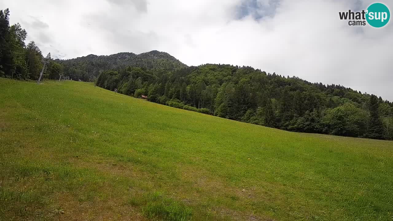 Kranjska Gora SKIJANJE | Brsnina
