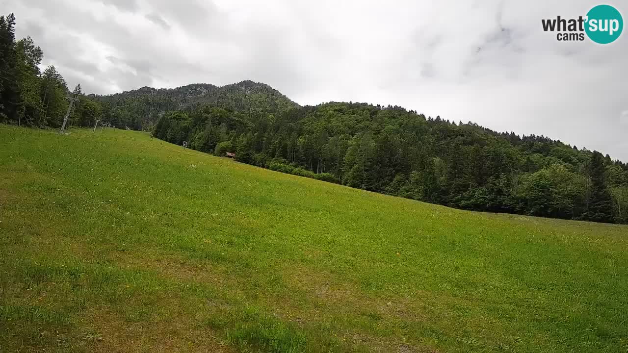Comprensorio sciistico Kranjska Gora | Brsnina