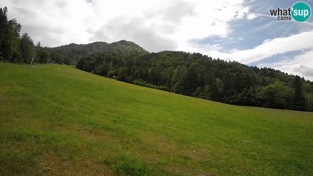 Comprensorio sciistico Kranjska Gora | Brsnina