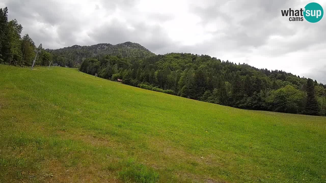 RTC Skigebiet Kranjska Gora | Brsnina