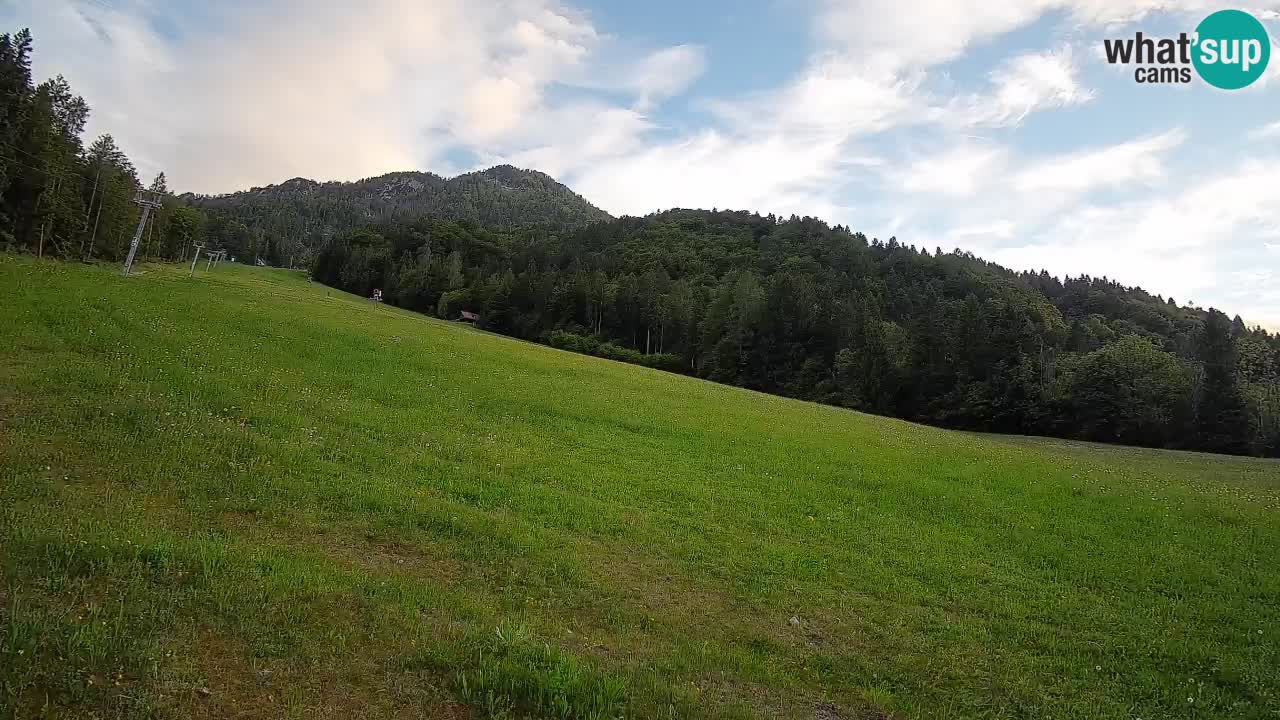 Esquí Kranjska Gora | Brsnina