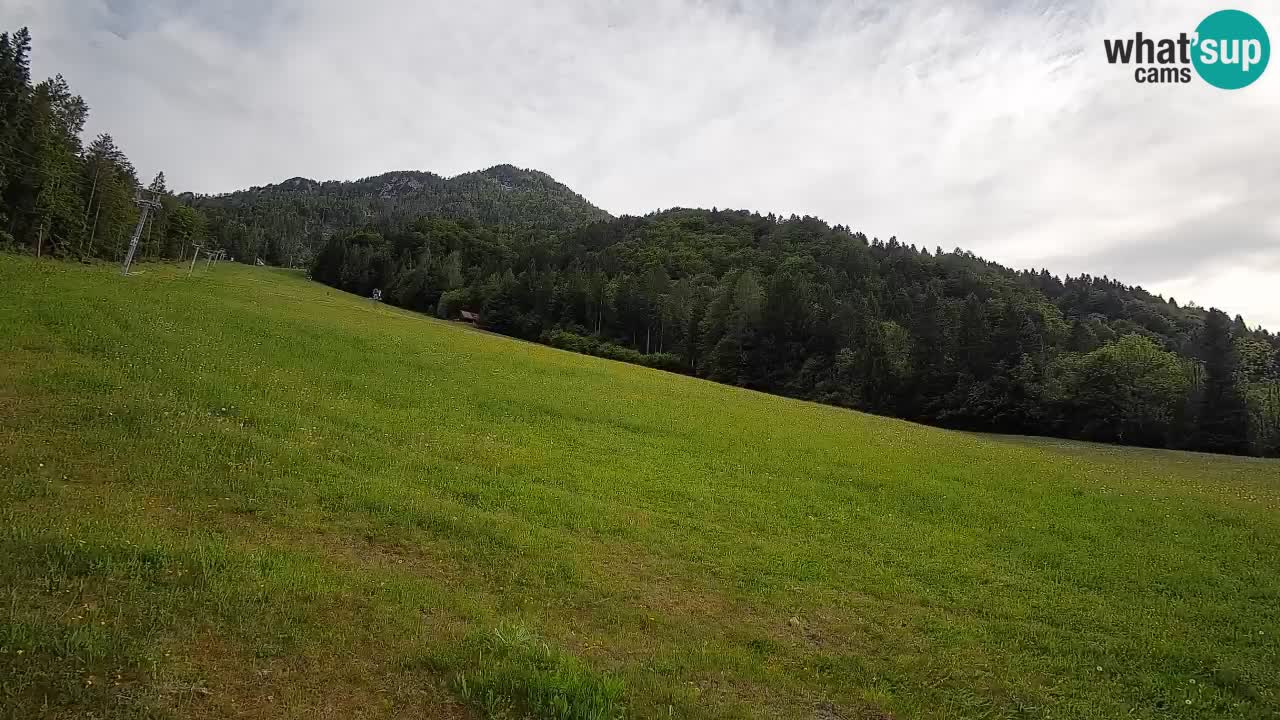 Esquí Kranjska Gora | Brsnina