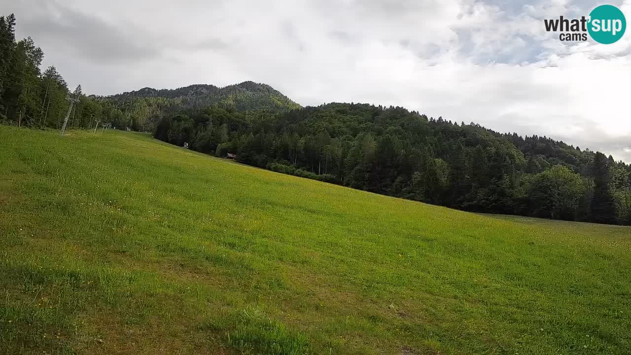 Esquí Kranjska Gora | Brsnina