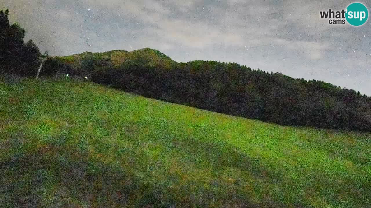 RTC Kranjska Gora | Brsnina