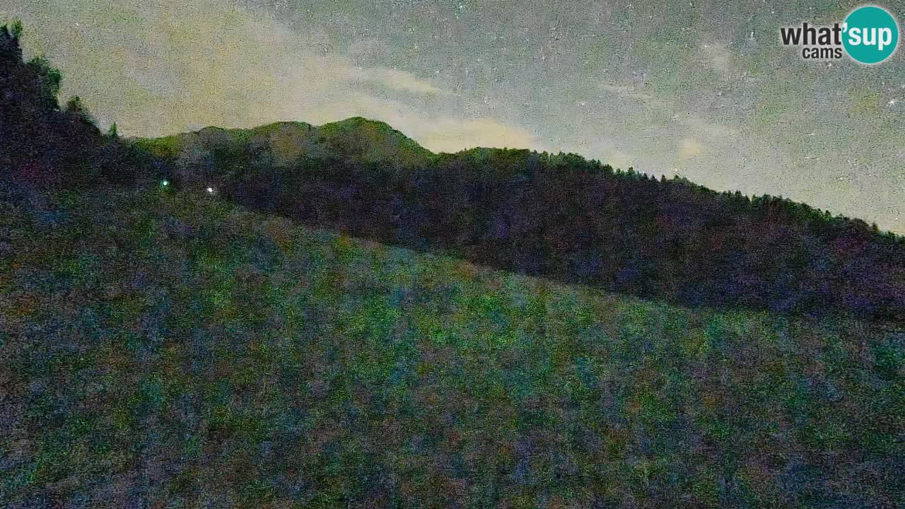 Esquí Kranjska Gora | Brsnina