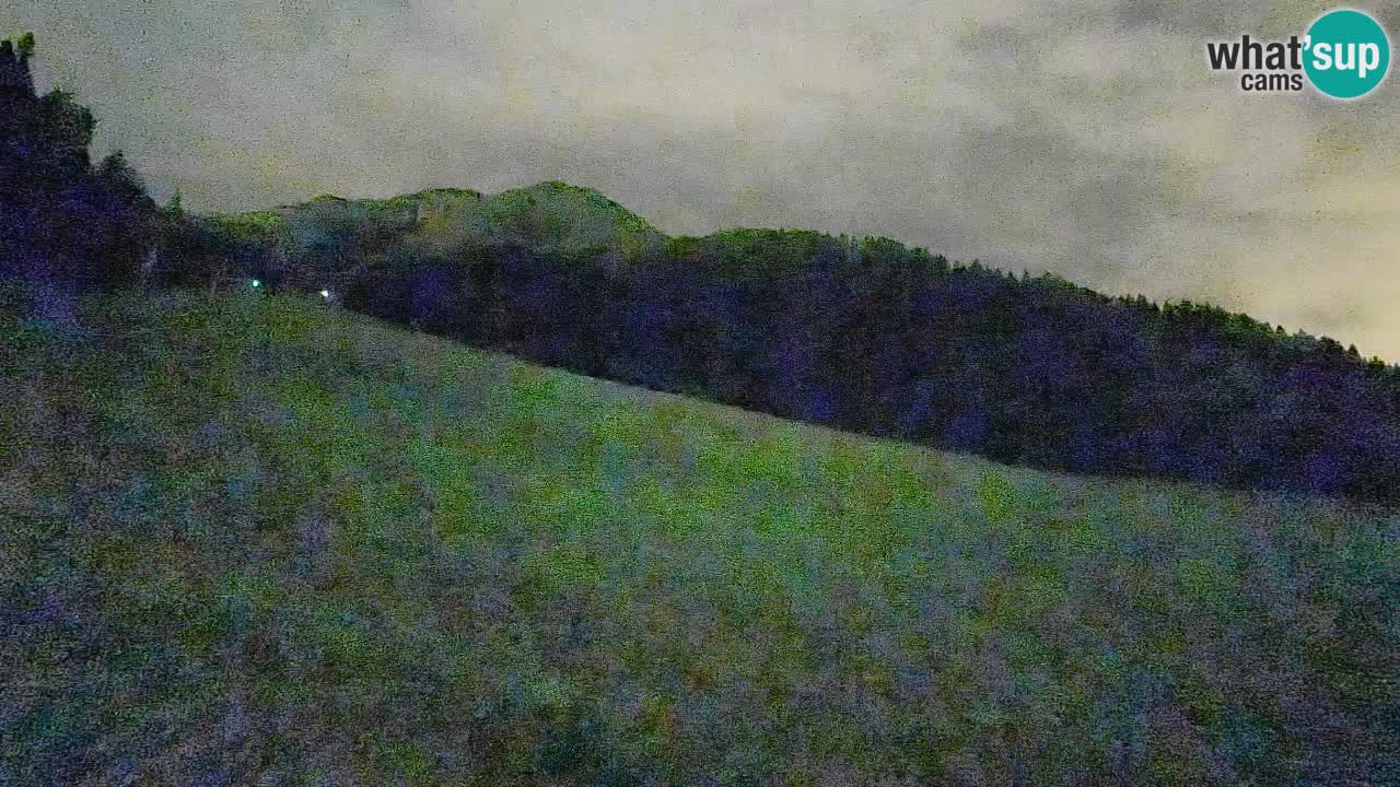 RTC Skigebiet Kranjska Gora | Brsnina