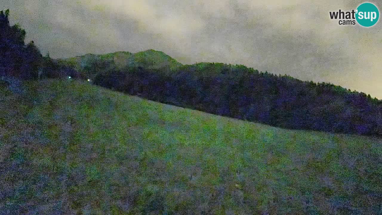 RTC Skigebiet Kranjska Gora | Brsnina
