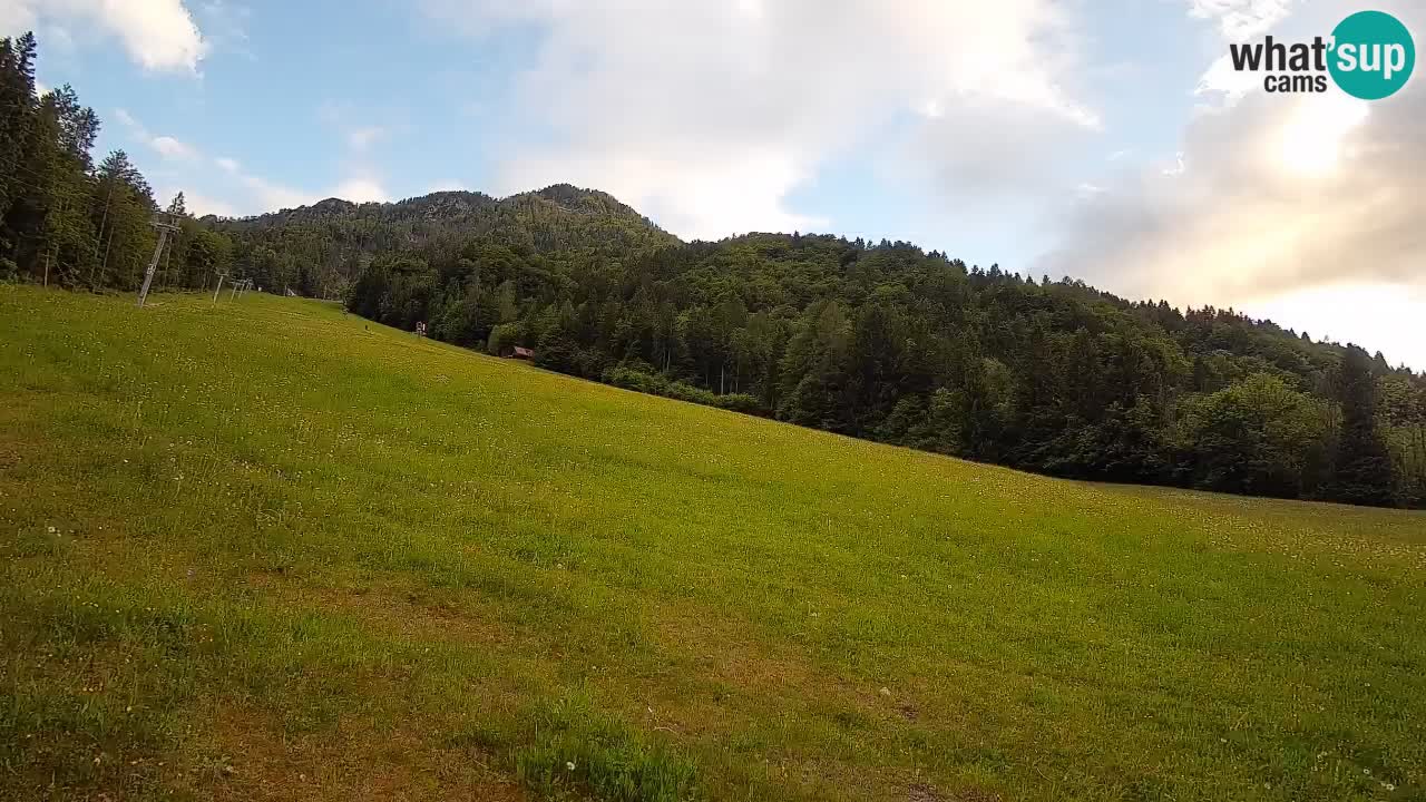 Esquí Kranjska Gora | Brsnina