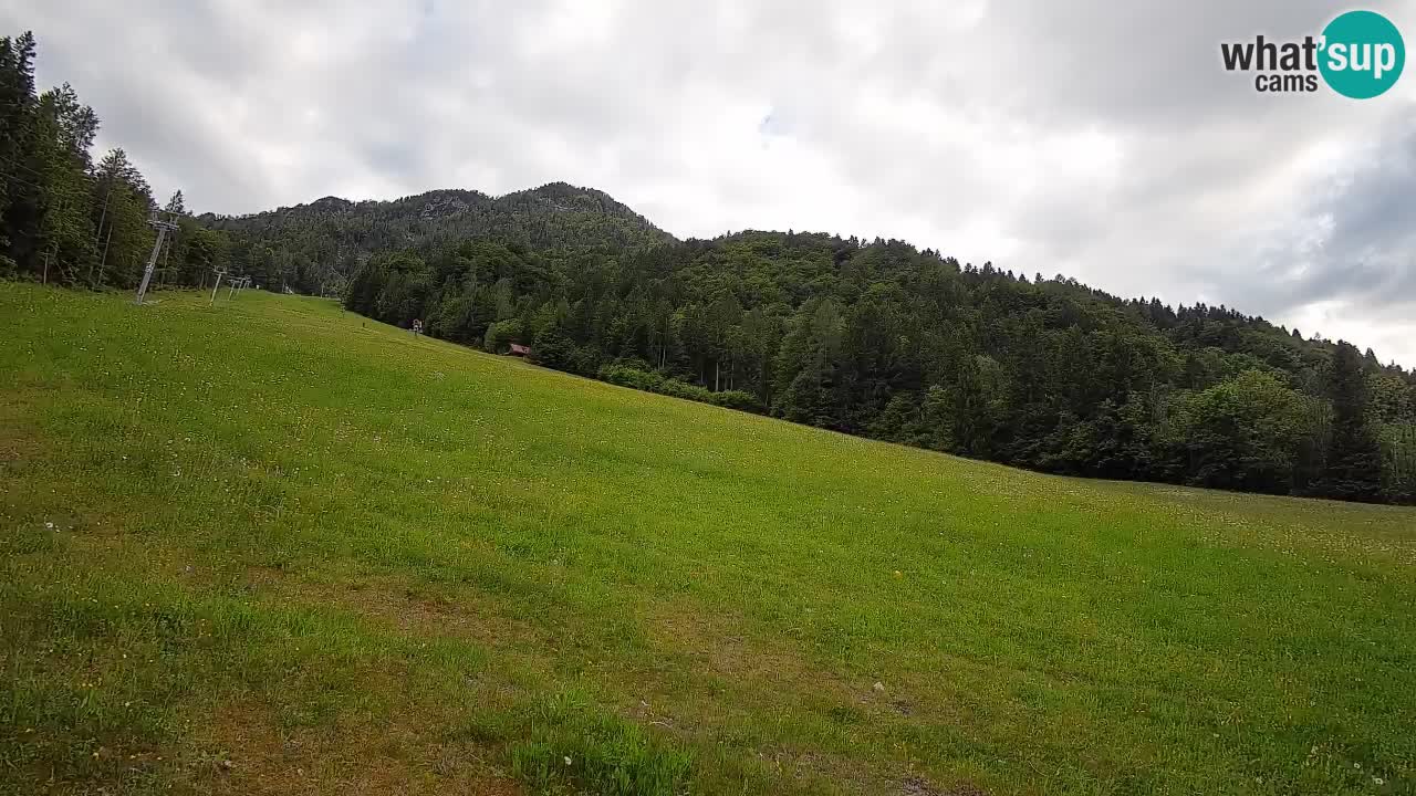 Esquí Kranjska Gora | Brsnina