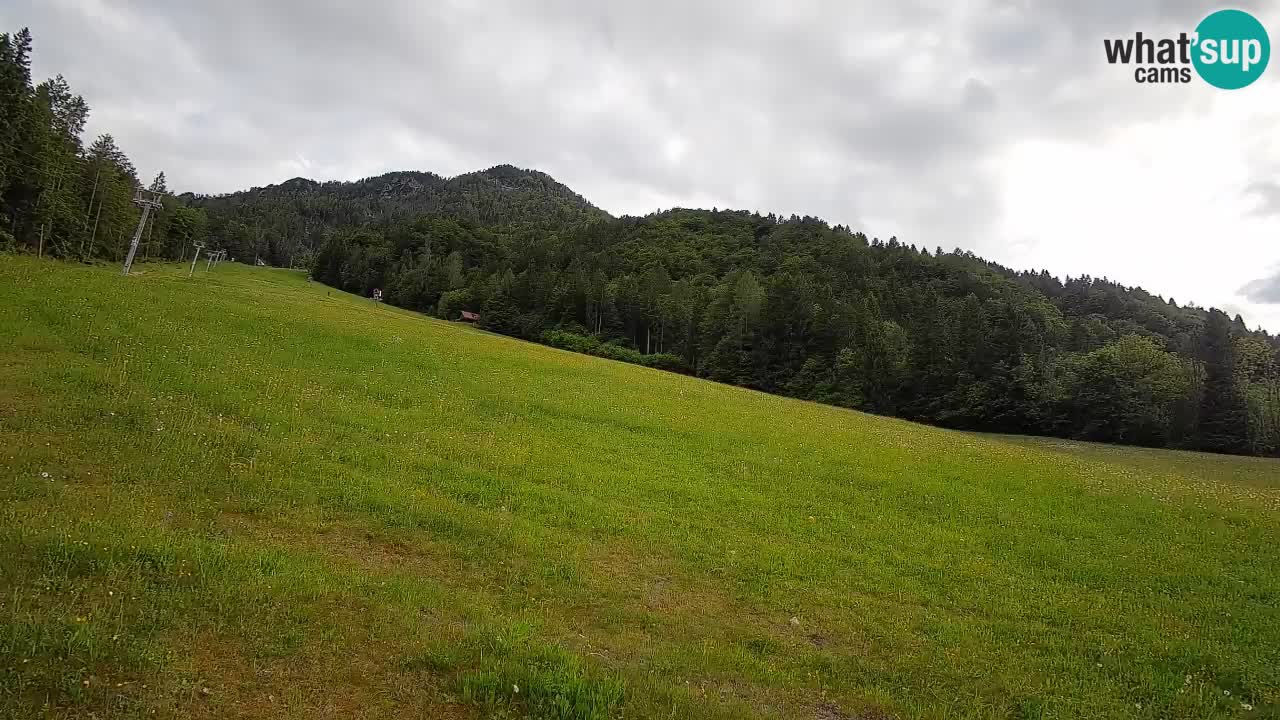 Esquí Kranjska Gora | Brsnina