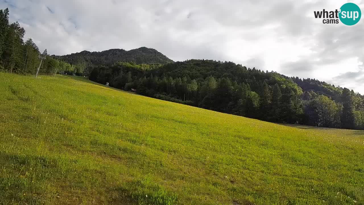 RTC Skigebiet Kranjska Gora | Brsnina