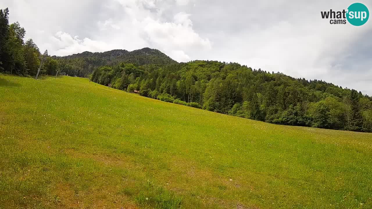 Comprensorio sciistico Kranjska Gora | Brsnina