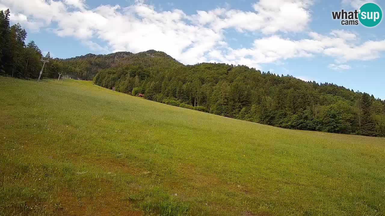 Esquí Kranjska Gora | Brsnina