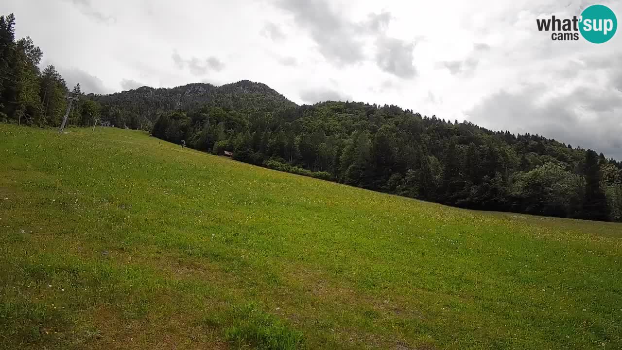 RTC Kranjska Gora | Brsnina