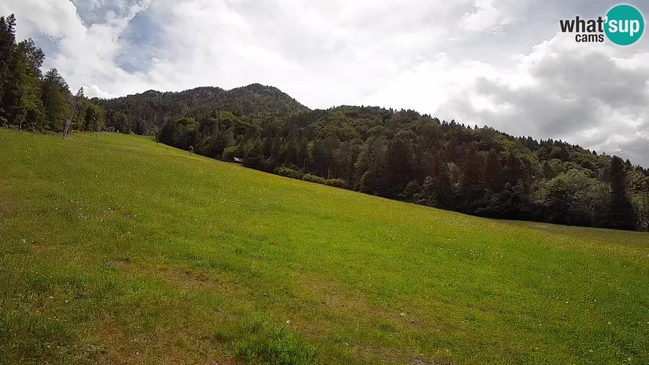Kranjska Gora Station de ski | Brsnina