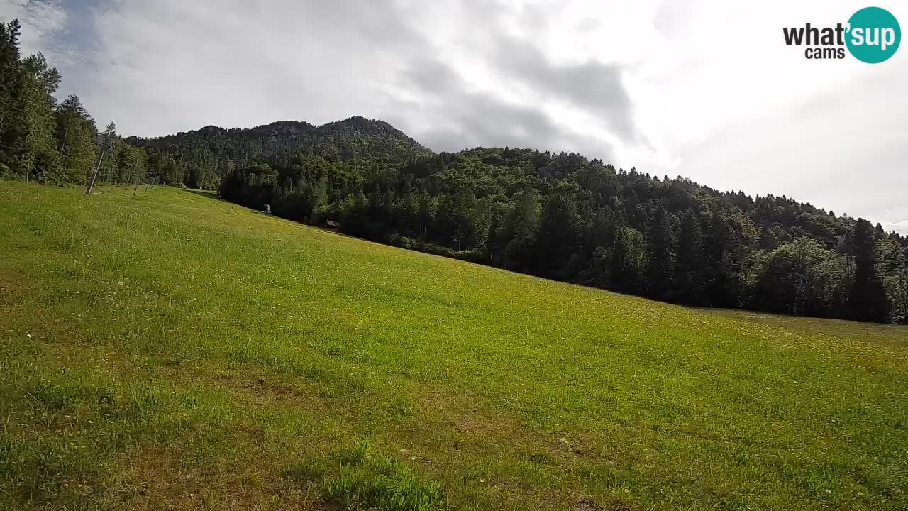 Kranjska Gora Station de ski | Brsnina